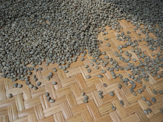 Cherry coffee beans of coffee, green coffee, Arabica coffee Thailand.