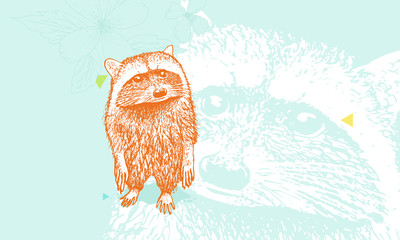 Wet looking raccoon. Detailed, rich tecture, hand drawn. 
