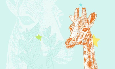 Cheeky giraffe licking nose. Detailed, rich texture, hand drawn. 