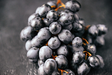bunch of ripe  dark  grapes on a gray background, berries