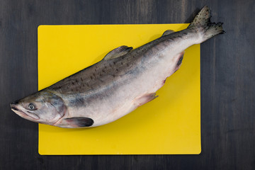 Raw salmon fish on cutting board on wood table. Top view with copy space.