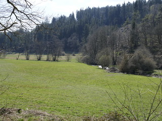 Im Tal der "Kleinen Dhron"