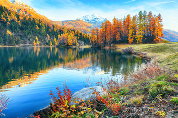 Spectacular autumn view of Champfer lake.