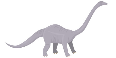 Diplodocus in cartoon style. Herbivorous dinosaur isolated on white background.
