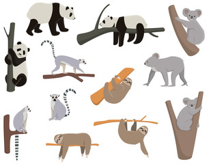 Big set of animals living on trees. Panda, lemur, sloth, koala in different poses. © KurArt