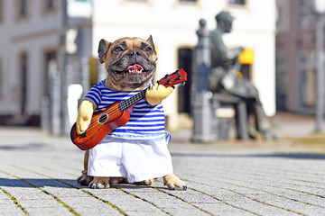 French Bulldog dog dressed up as street perfomer musician wearing a funny costume with striped...