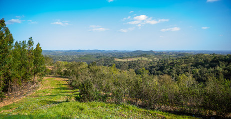Fototapeta na wymiar Panorama Alentejo - Portugal 