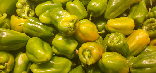 Sweet green bell peppers