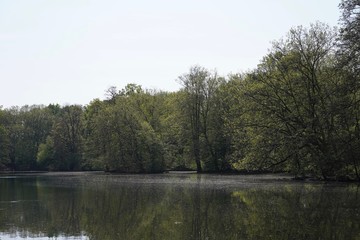Fototapeta na wymiar Wasserlandschaft im Berliner Tiergarten
