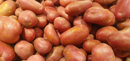 background of many red potatoes at market