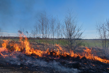 Fire. Burning last year's dry grass with plenty of smoke could turn into a tragedy.