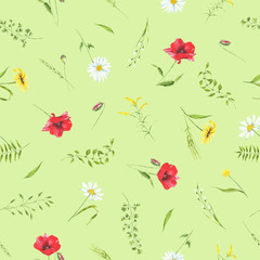 summer watercolor seamless pattern  wildflowers.  meadow flowers, plant, leaves