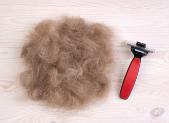 Dog's hair and a pet comb on a wooden background after trimming a dog