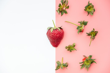 She is a strawberry on a colorful background