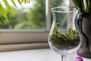 glass goblet filled with green moss