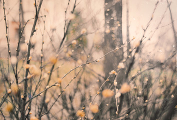 abstract yellow spring light background with plants in yellow tones