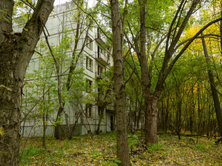 Abandoned residental building. Previous roads and alleys are taken by trees and bushes. Ghost town of Pripyat, Chernobyl Exclusion Zone. Ukraine.