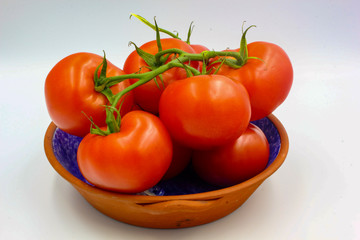 ripe fresh bunch red tomato on vine in a terracotta bowl isolated on white background