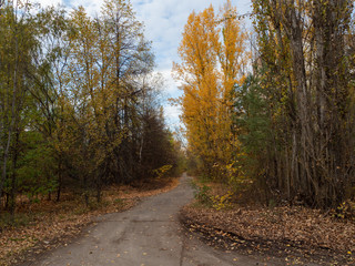 Obraz premium Abandoned residental area and building. Previous roads and alleys are taken by trees and bushes. Ghost town of Pripyat, Chernobyl Exclusion Zone. Ukraine.