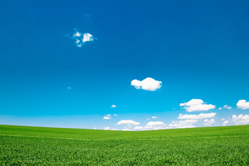 Obraz na płótnie Canvas Meadow field with clouds and blue sky. Beautiful minimal summer landscape of the hills.