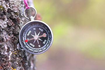 Old iron compass on tree in forest