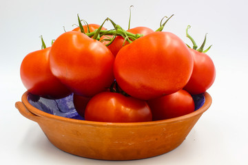 ripe fresh bunch red tomato on vine in a terracotta bowl isolated on white background