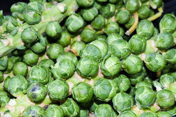 Fototapeta na wymiar The Brussels sprouts stalk