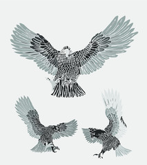 tattoo tribal eagle tshirt print embroidery graphic design vector art