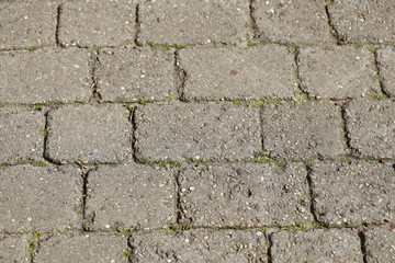 Pflastersteine , Bodenbelag, Unkraut, Deutschland, Europa