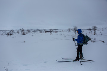 Ski expedition in Nuorgam, Lapland, Finland
