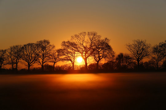 Sonnenaufgang hinter Baumreihe am Feldrand im Nebel