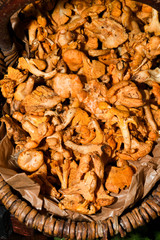 Mushrooms for sale. Local autumn produce