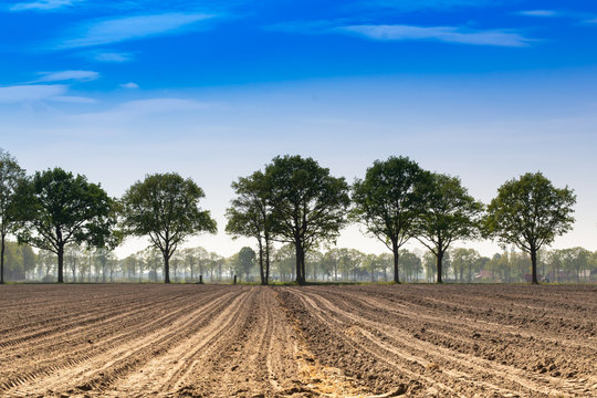 landscape with a field Staphorst in the Netherlands