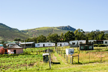 Rural housing and scenery, Coffee Bay, Eastern Cape, South Africa