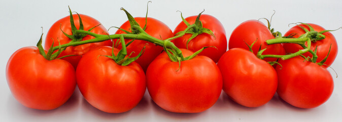ripe fresh red tomato on vine panoramic isolated on white background