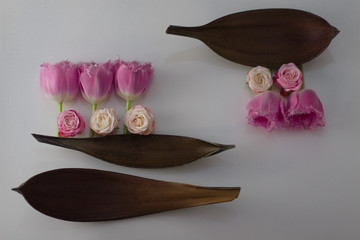 
Linear composition of pink roses and tulips with brown bark on a white background