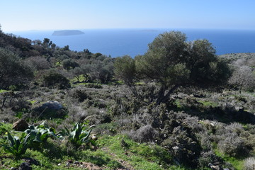 Fototapeta na wymiar view of the coast of the Aegean sea