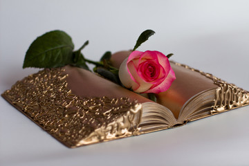 Golden book with pink rose on a white background