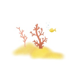 Illustration for the children.  Coral