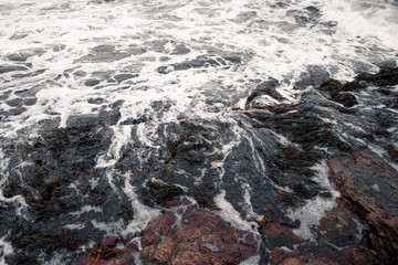 Dark water withdrawing with foam on rocks, Bornholm, Denmark, Scandinavia