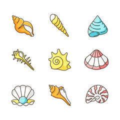 Sea shells RGB color icons set