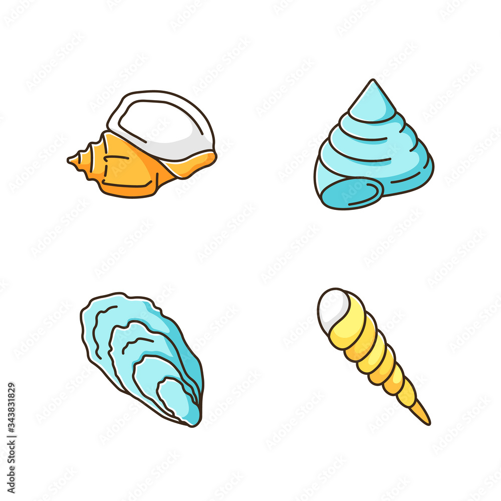 Poster different seashells rgb color icons set