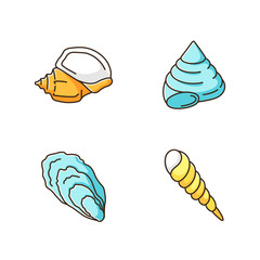 Different seashells RGB color icons set