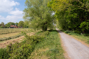 Cycling highway on an old converted railway line in Bruges between the communities of Steenbrugge and Maldegem, Belgium.