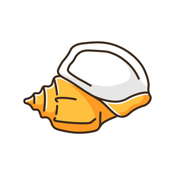 recommend clip art: Triton trumpet orange shell RGB color icon