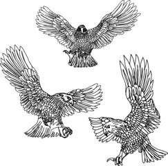 tattoo tribal eagle print embroidery graphic design vector art