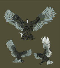 Obraz premium tattoo tribal eagle print embroidery graphic design vector art