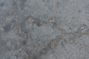 Close-up - gray stone wall in the old facade of the house