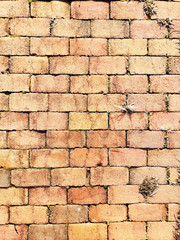 Old Brick Wall Background.