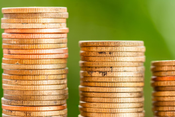 Money coins stack growing graph with green tree bokeh background